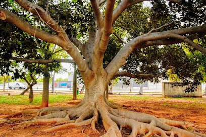 Imagen de Parque de Mérida situado en Castellón de la Plana, Castellón